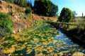 Laguna Los Arenales (Granada)
