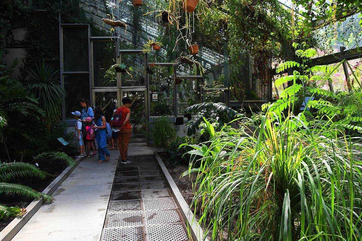 jardin-botanico-madrid-12