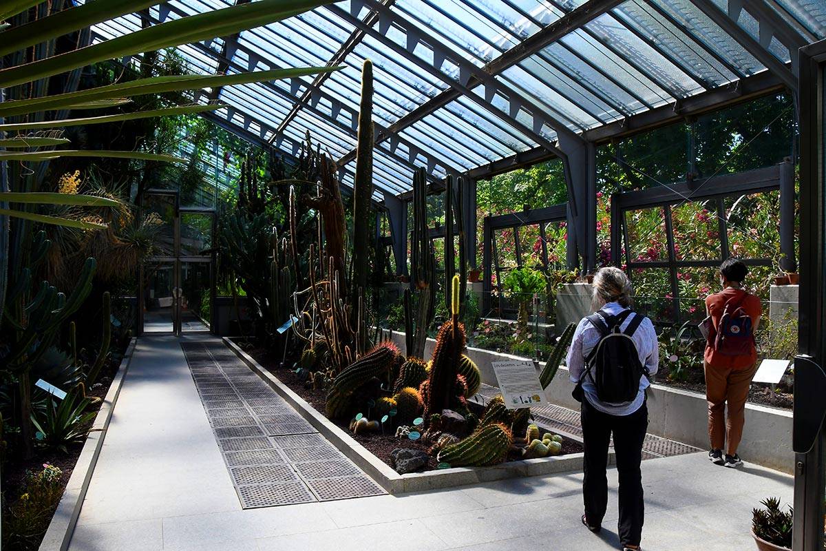 jardin-botanico-madrid-13