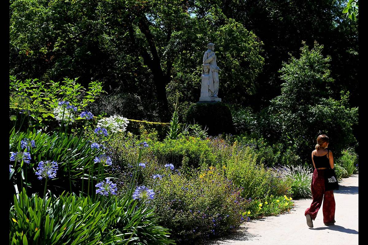 jardin-botanico-madrid-21