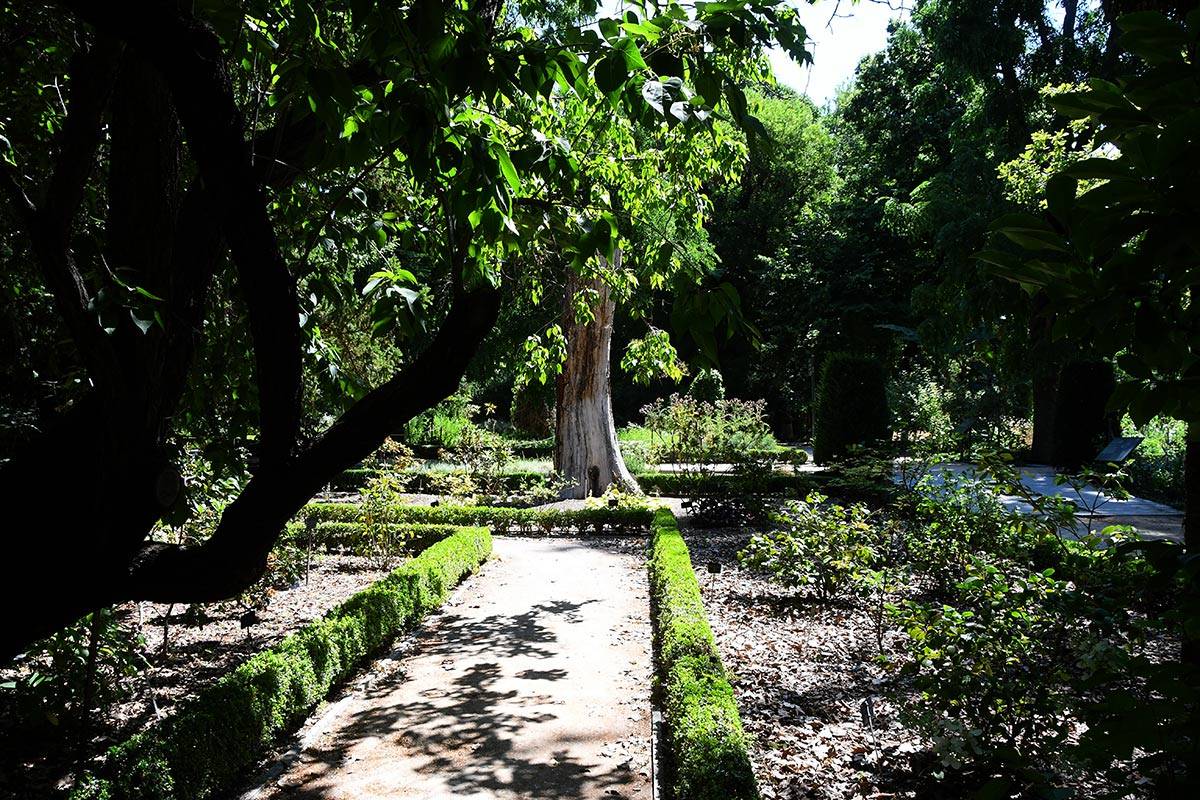 jardin-botanico-madrid-26
