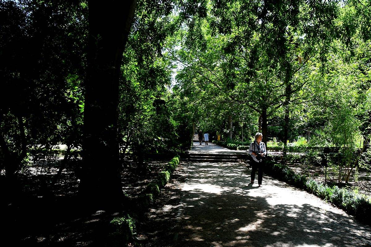 jardin-botanico-madrid-28