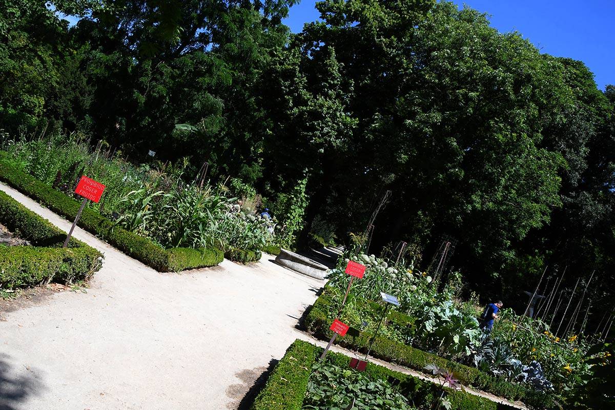 jardin-botanico-madrid-30