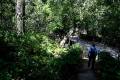 jardin-botanico-madrid-01