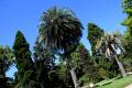 jardin-botanico-madrid-04