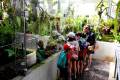 jardin-botanico-madrid-10
