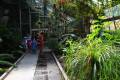 jardin-botanico-madrid-12
