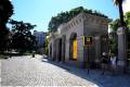 jardin-botanico-madrid-16