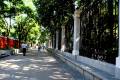 jardin-botanico-madrid-17