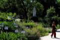 jardin-botanico-madrid-21