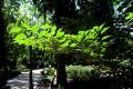 jardin-botanico-madrid-22