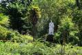 jardin-botanico-madrid-23