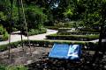 jardin-botanico-madrid-27