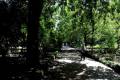 jardin-botanico-madrid-28