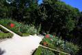 jardin-botanico-madrid-30