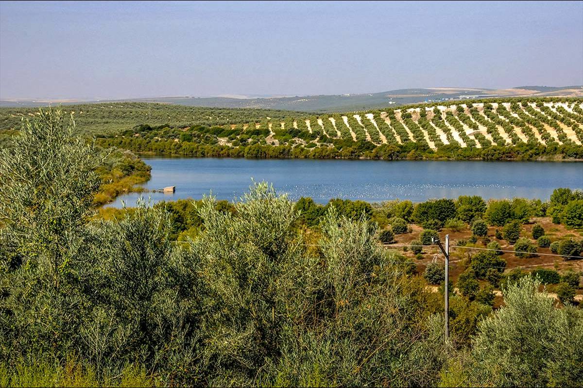 Laguna_de_Zonar-30