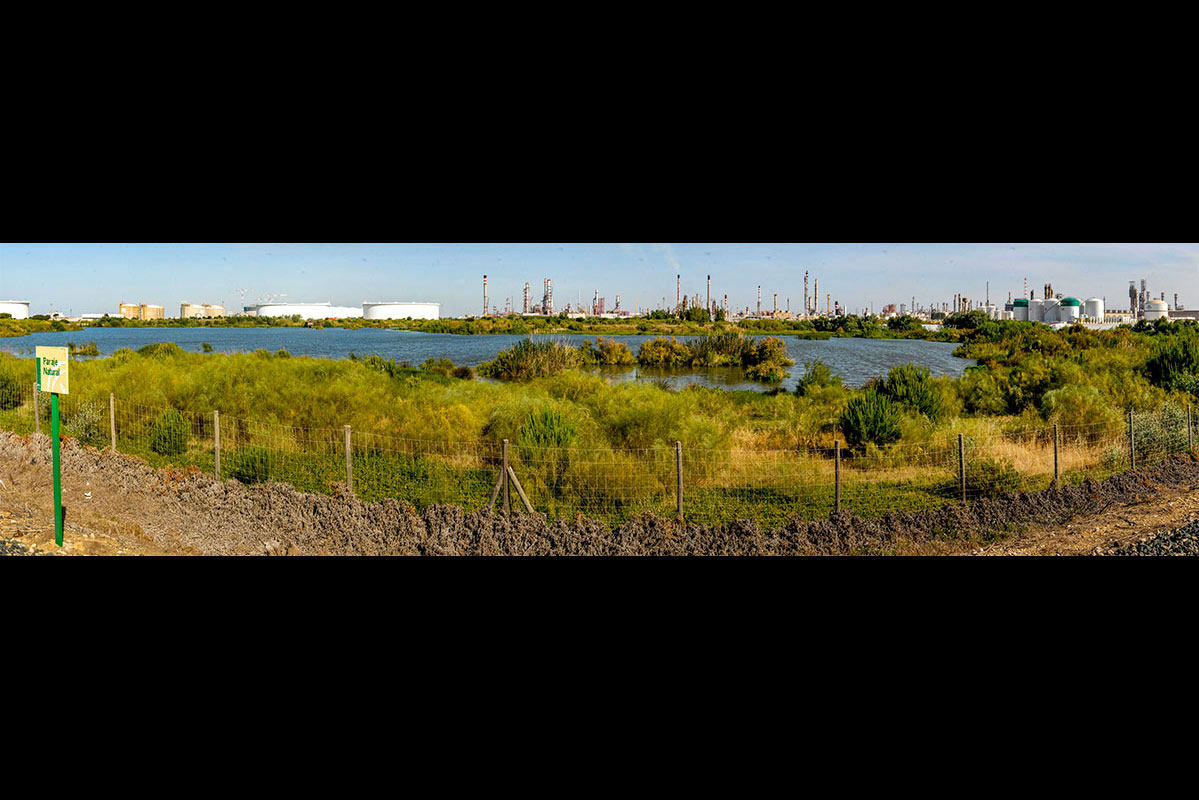 lagunasdepalos01