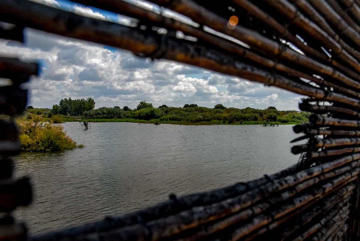lagunasdepalos03