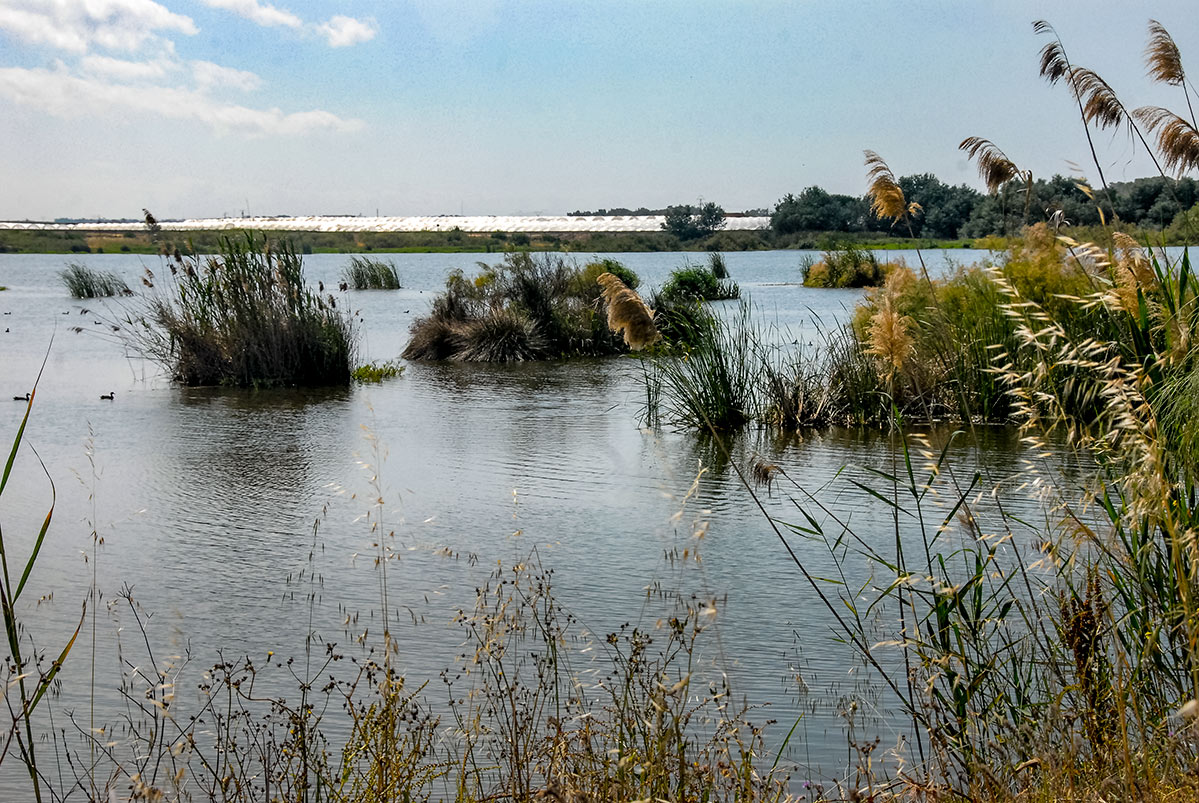 lagunasdepalos04