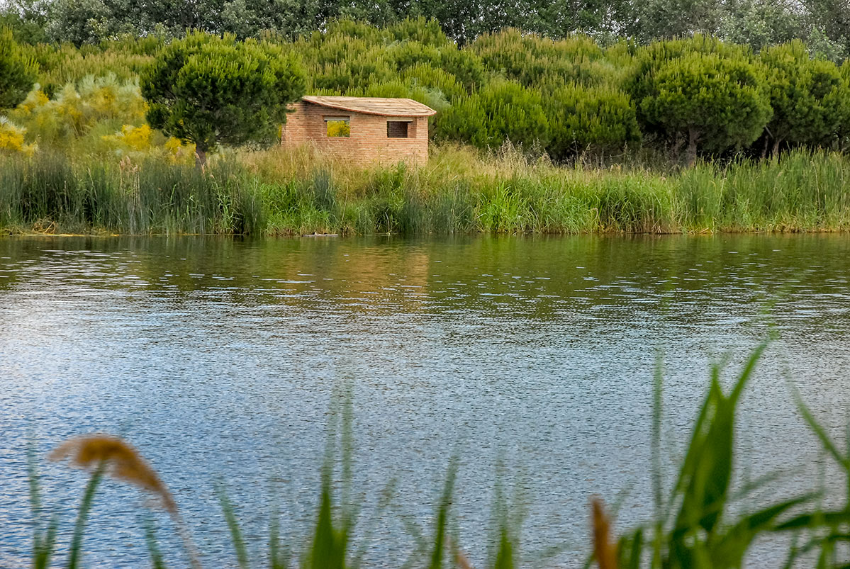 lagunasdepalos08