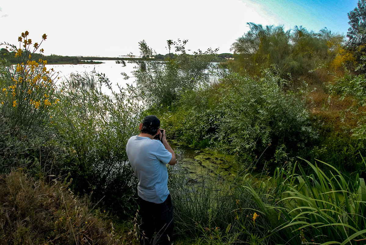 lagunasdepalos13