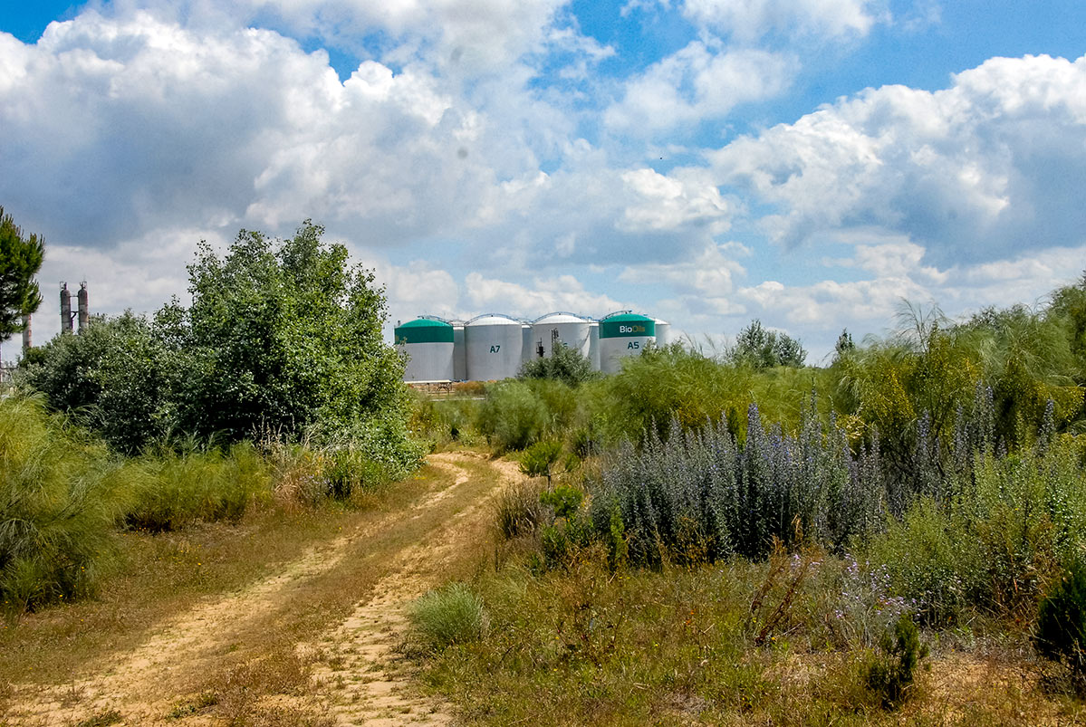 lagunasdepalos14