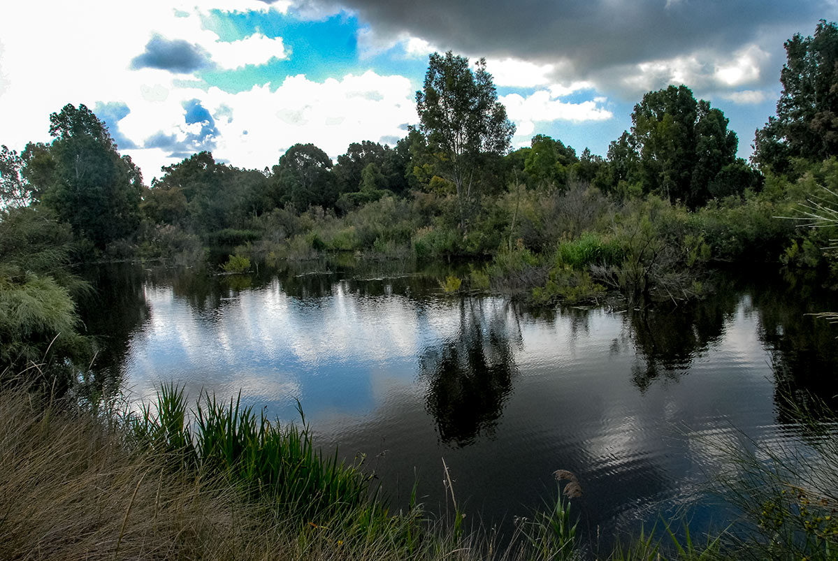 lagunasdepalos16
