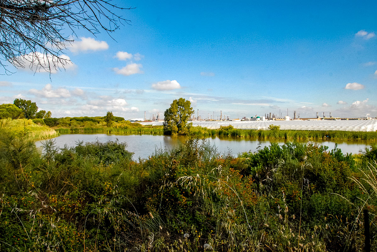 lagunasdepalos17