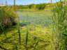 lagunasdepalos06