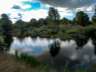 lagunasdepalos16