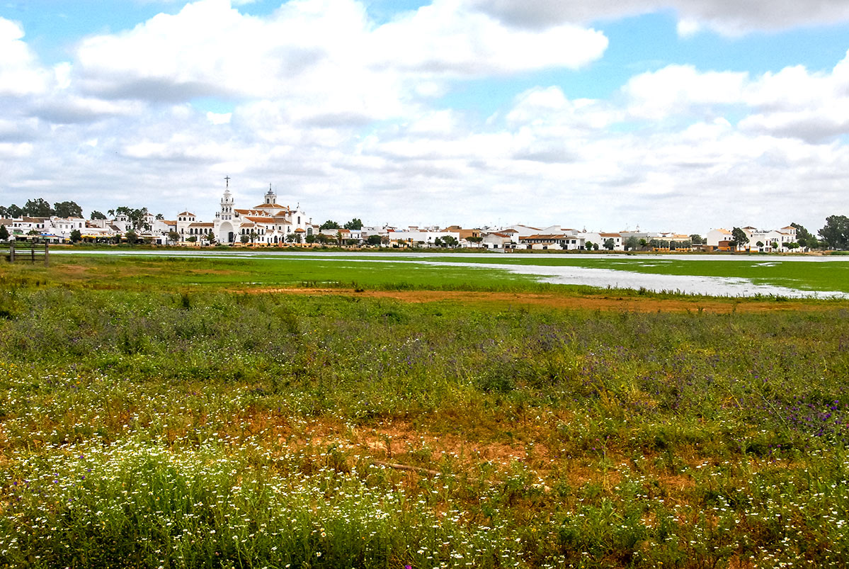 larocinaelrocio6