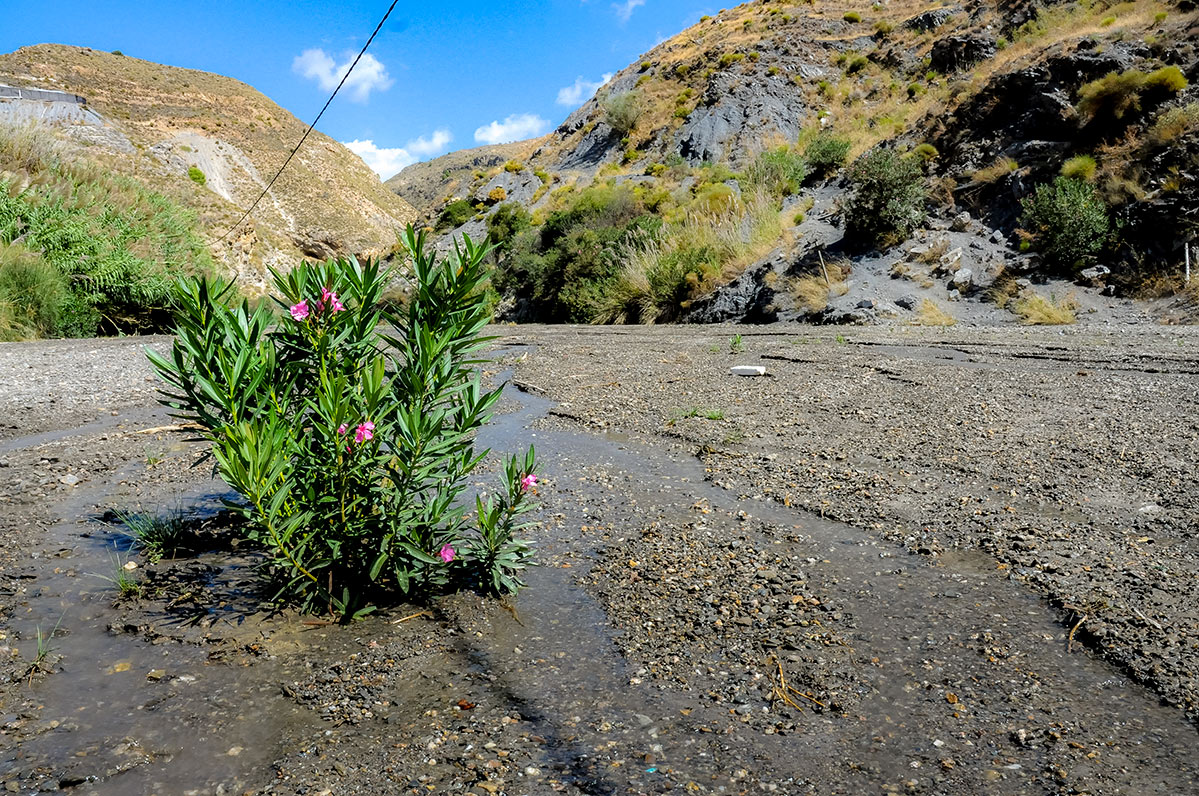 lasangosturas15