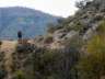 lasangosturas08
