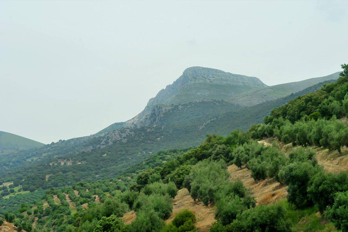 Sierra_Magina-17