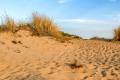 Dunas fijas