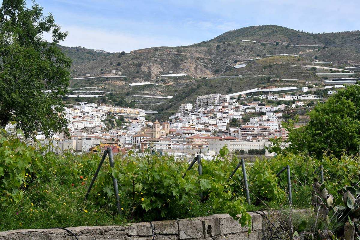 Vista de Albuñol desde la fuente de Maigámez