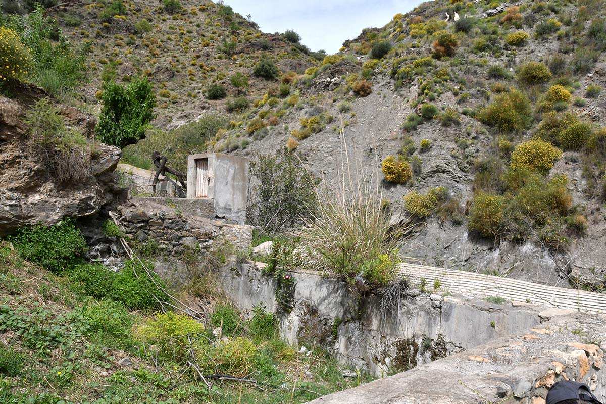 MInilla del Cortijo Bajo y Los Castillas