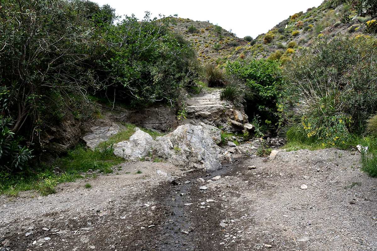 MInilla del Cortijo Bajo y Los Castillas