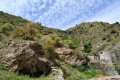 MInilla del Cortijo Bajo y Los Castillas