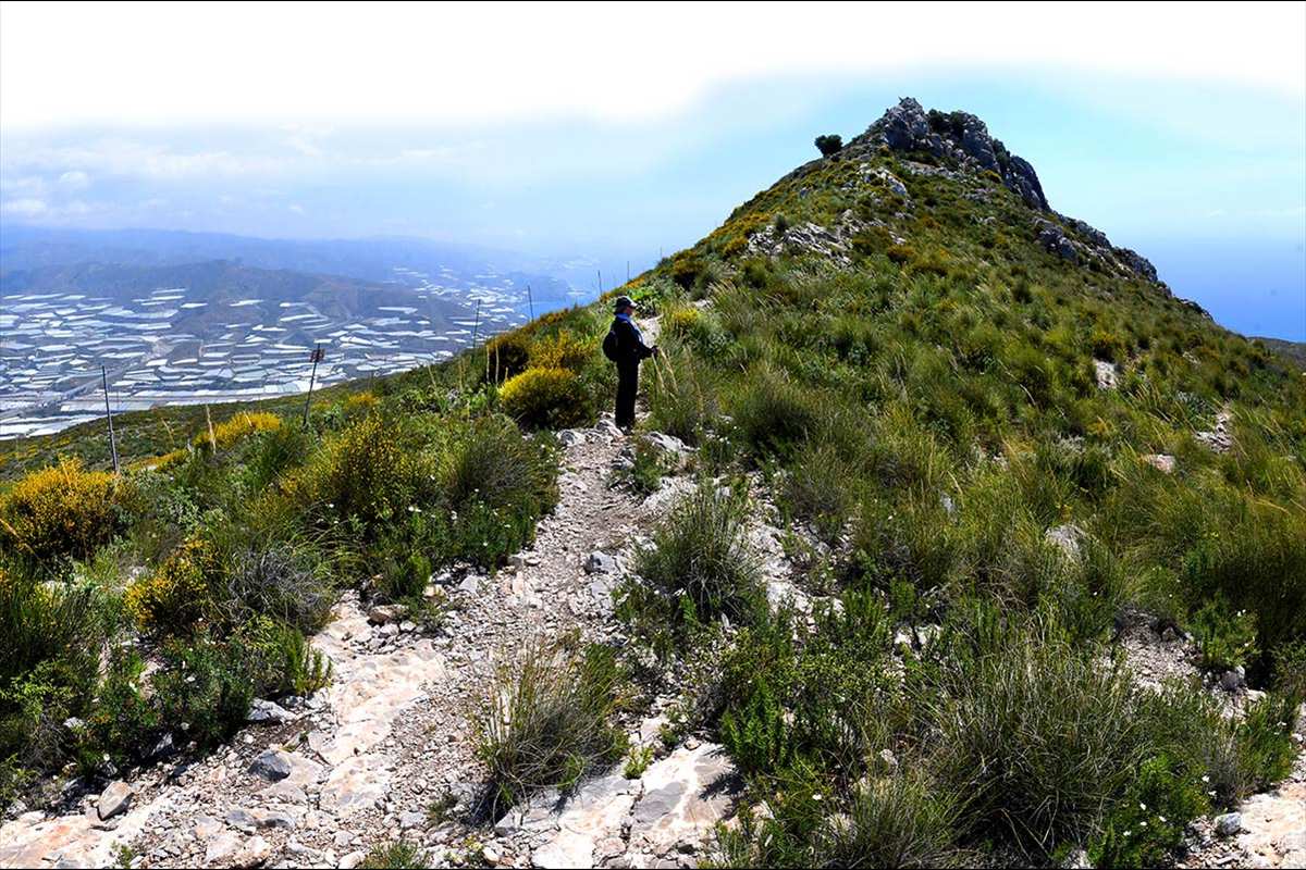 pico-del-aguila, Castell de Ferro