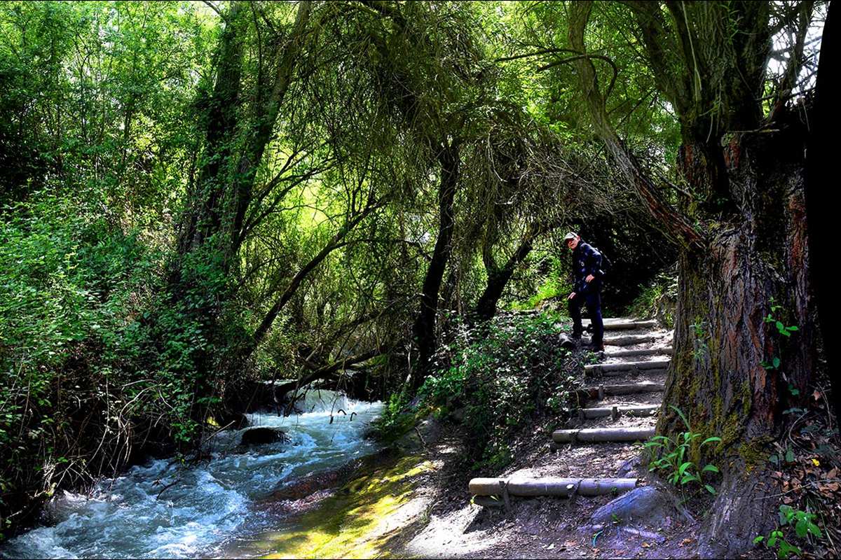 Los Cahorros, sendero del río Monachil