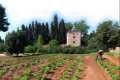 Huertas nazaries del Generalife