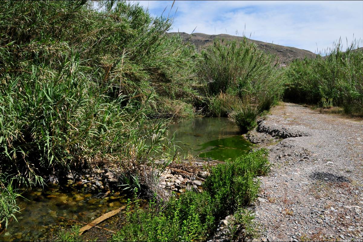 FUENTES DE MARBELLA * FOTO: J. E. GÓMEZ y MERCHE S. CALLE
