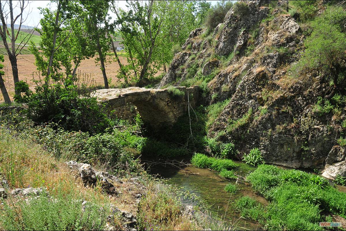 puentedealhama-001