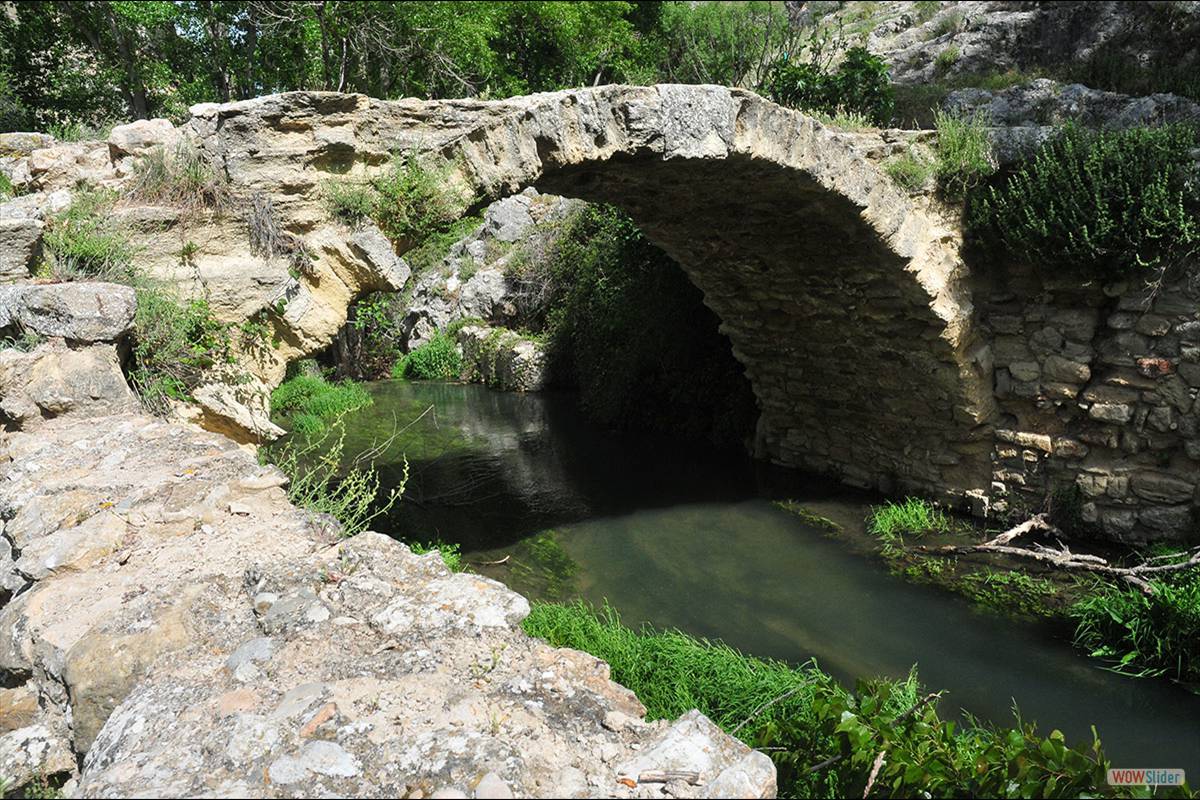 PUENTE ROMANO . Fotos: JUAN ENRIQUE GOMEZ Y MERCHE S. CALLE