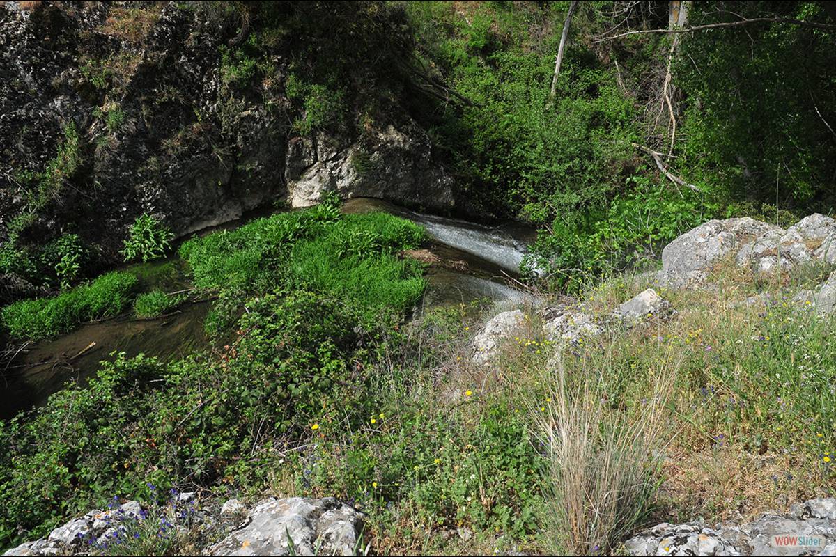RÍO ALHAMA . Fotos: JUAN ENRIQUE GOMEZ Y MERCHE S. CALLE