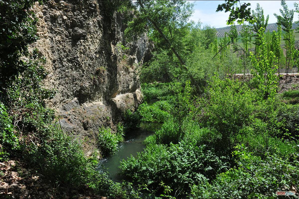 RÍO ALHAMA . Fotos: JUAN ENRIQUE GOMEZ Y MERCHE S. CALLE