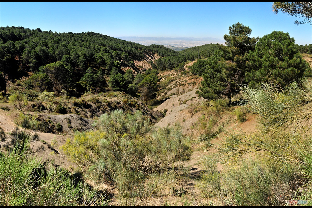 Río Beiro, nacimiento. Foto: J. E. GÓMEZ y MERCHE S. CALLE
