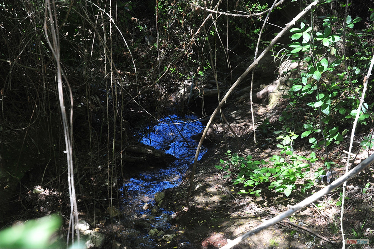 Río Beiro. Foto: J. E. GÓMEZ y MERCHE S. CALLE