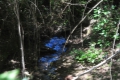 Río Beiro. Foto: J. E. GÓMEZ y MERCHE S. CALLE
